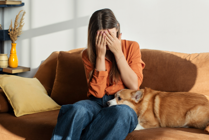 Young woman crying sitting on sofa with her Corgi dog lying nearby, placing head on female laps